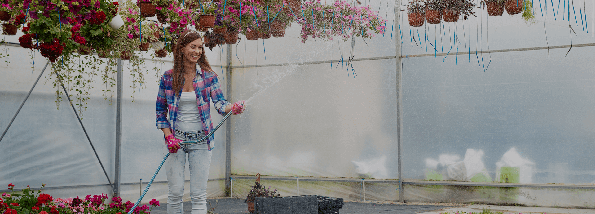 The Best Tools Needed For Setting Up Your Plant